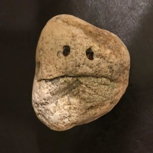 Meet your Posher, Lewis